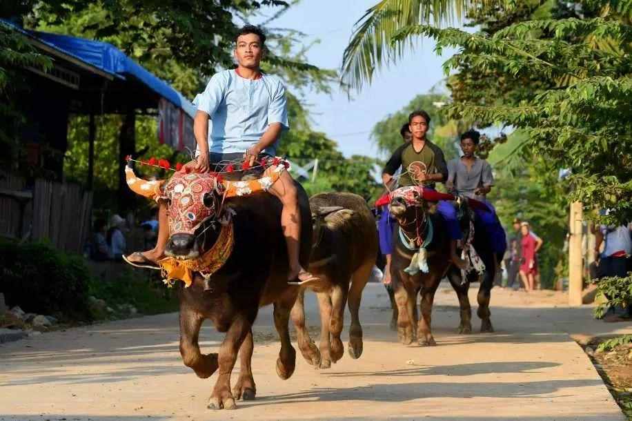 慎终追远，国外有哪些类似清明节的祭祀节日？