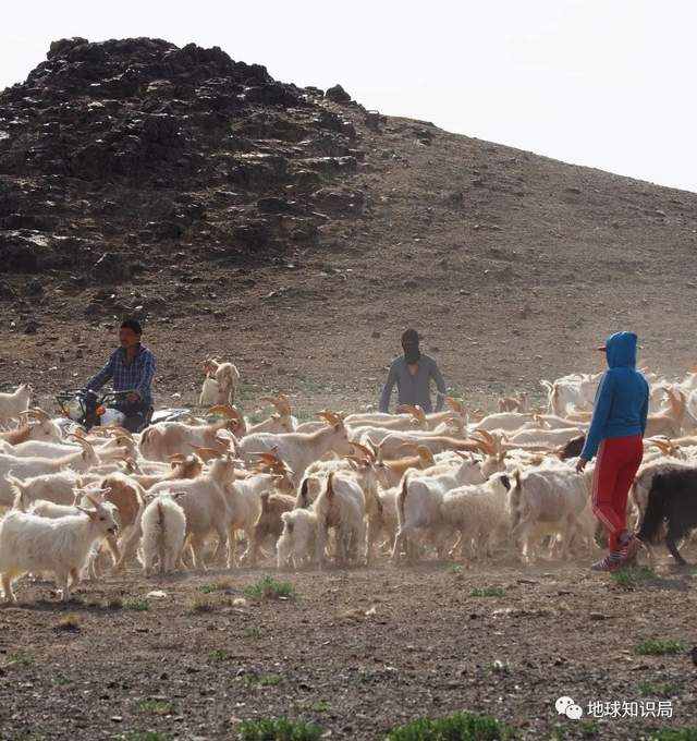 又黄了，蒙古国的问题有多严重 | 地球知识局