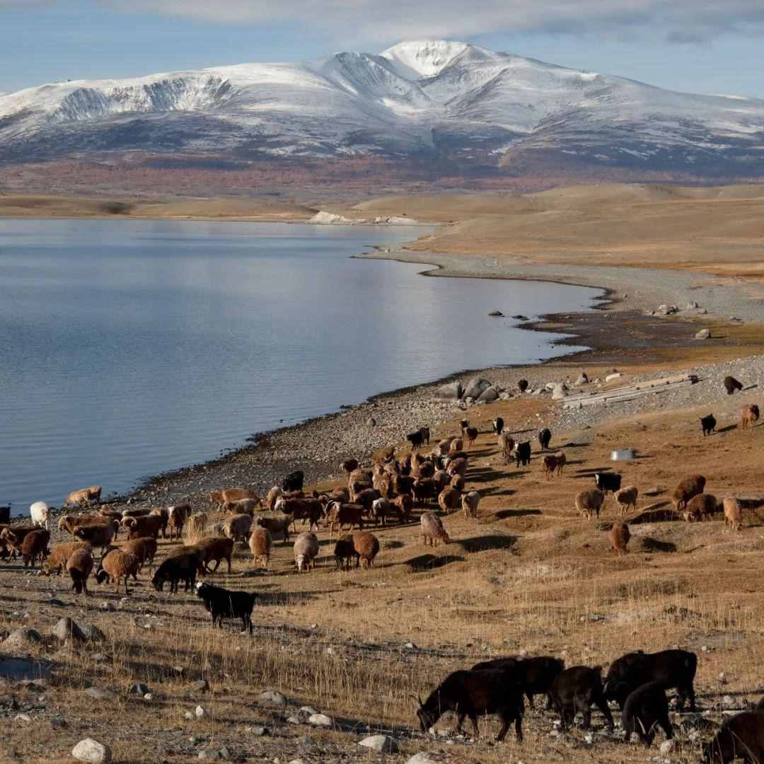 俄罗斯-蒙古边境，修长城！| 地球知识局