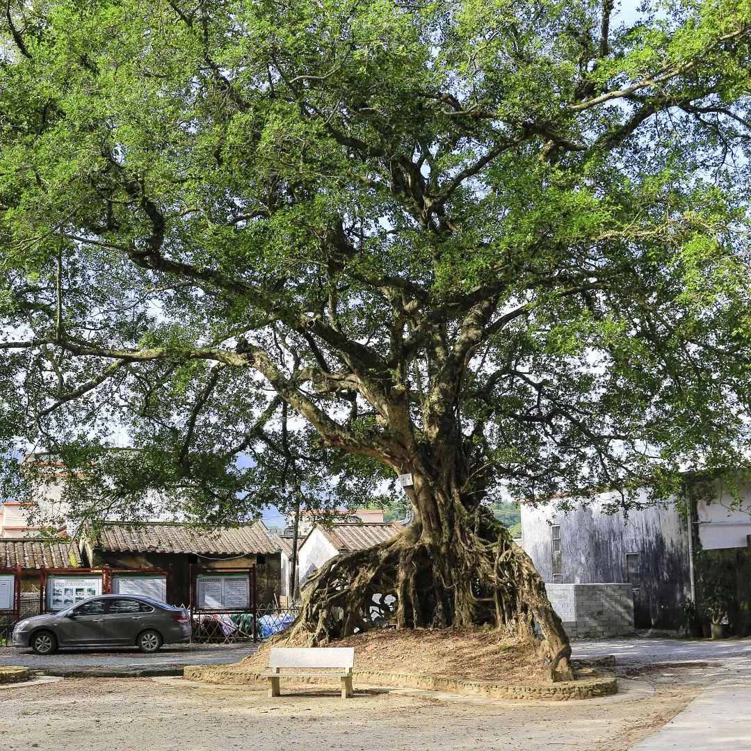 珠三角有多富？广东省有多穷？| 地球知识局