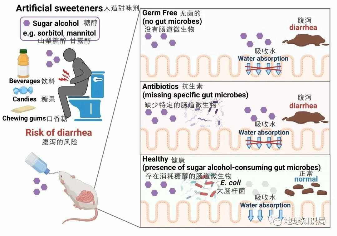 最新消息，吃这种东西可能损害身体 | 地球知识局