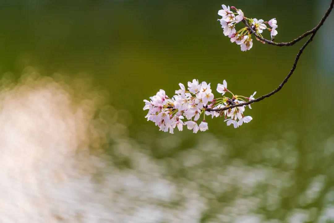 平平无奇，自带传奇