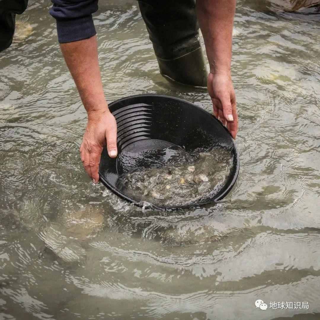 刚刚，中国发现世界级大金矿！| 地球知识局