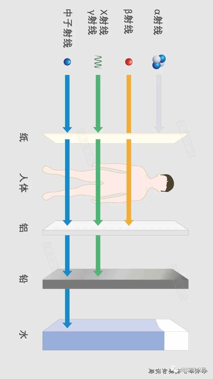 这种病，死状甚惨 | 地球知识局