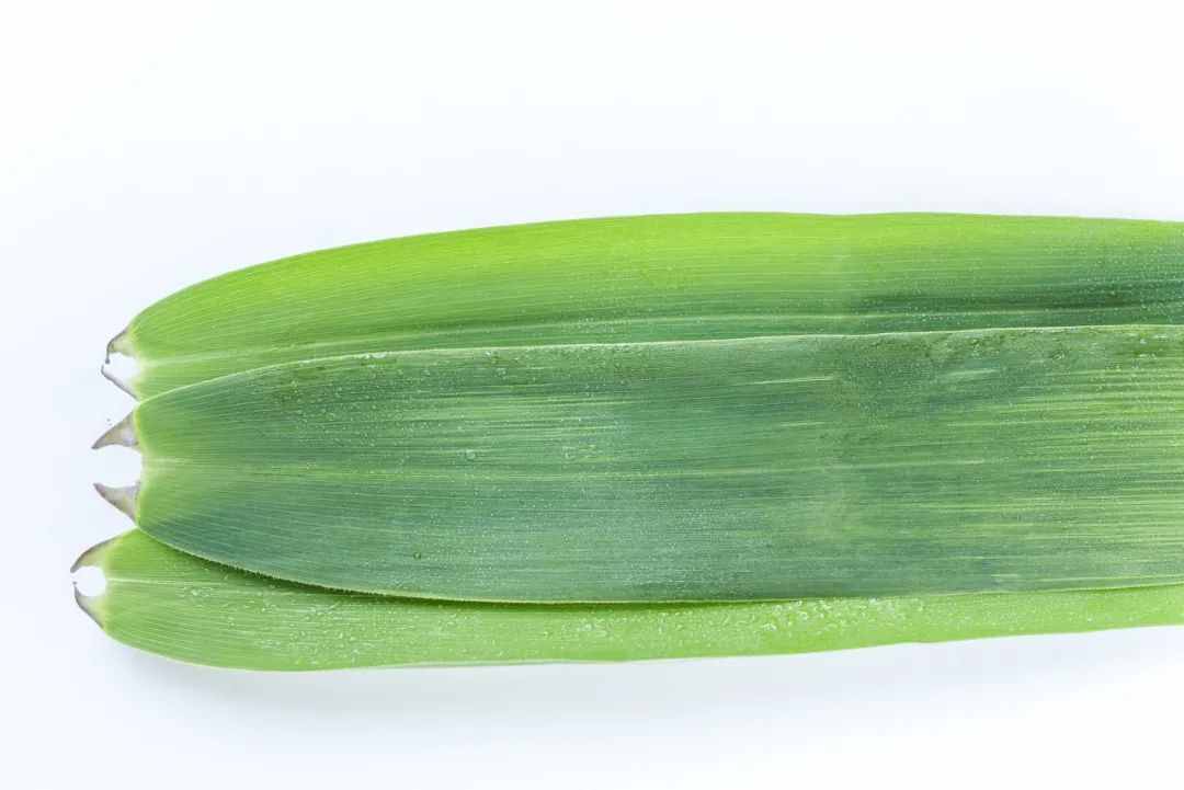 端午隐秘史，信息量巨大