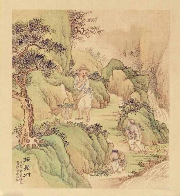 跟着古诗词，过一个“诗意”的端午