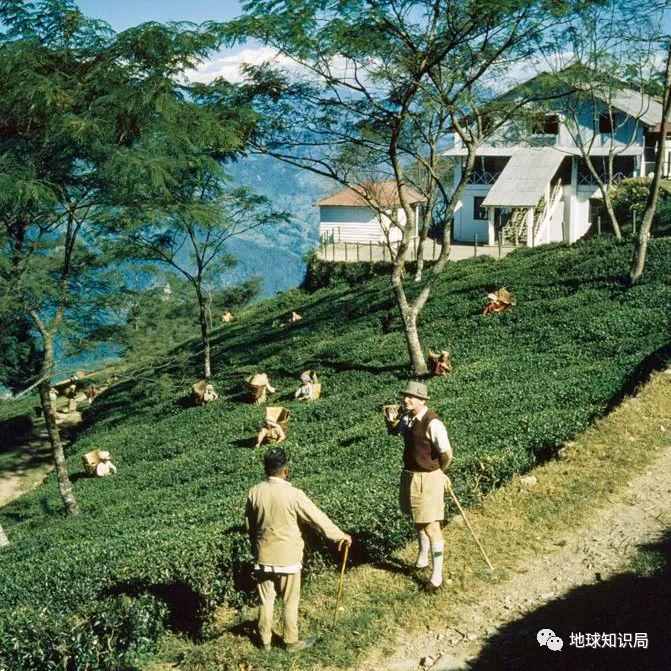 锡金原住民，快灭绝了！| 地球知识局