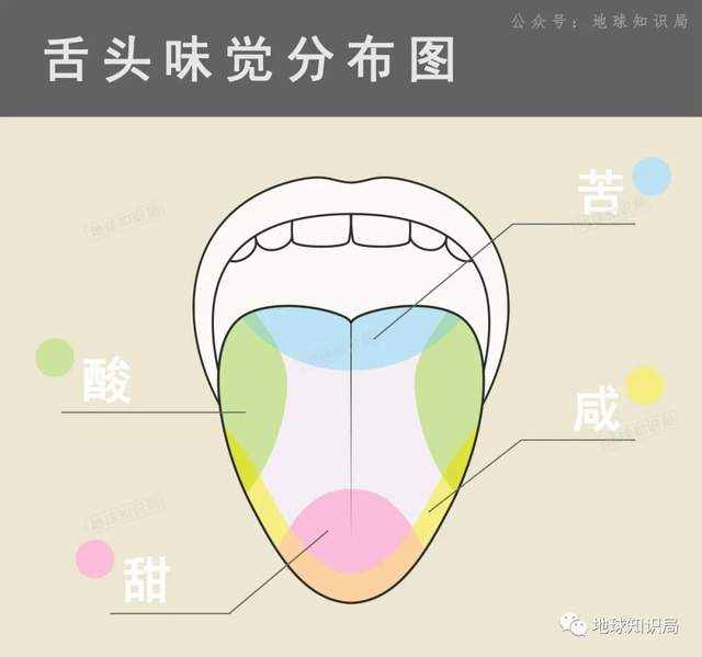 最新，这东西可能致癌 | 地球知识局