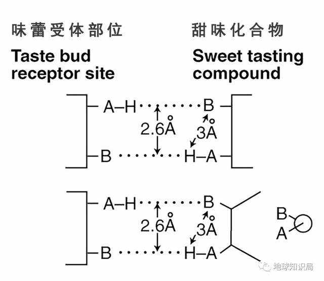 最新，这东西可能致癌 | 地球知识局