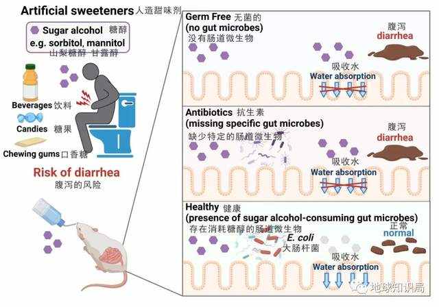 最新，这东西可能致癌 | 地球知识局