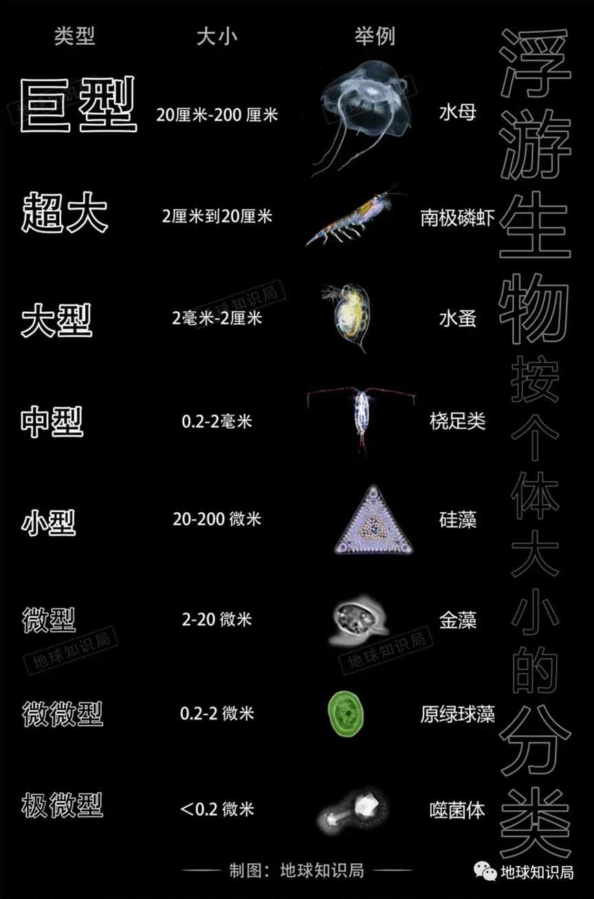 润了润了，连他们都受不了了 | 地球知识局
