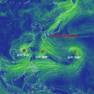 台风苏拉，真的来了！| 地球知识局