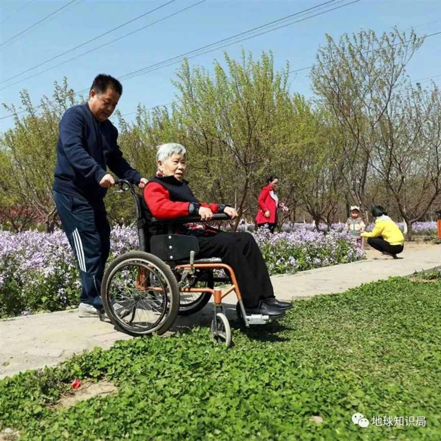 刚刚公布，老人以后越来越难了？| 地球知识局