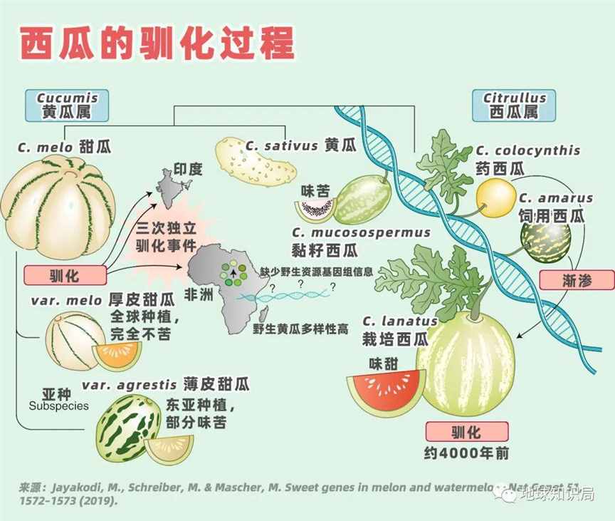 中国，产量吊打全球 | 地球知识局