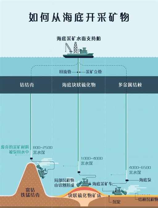 高达98％，中国不进口真的没办法 | 地球知识局