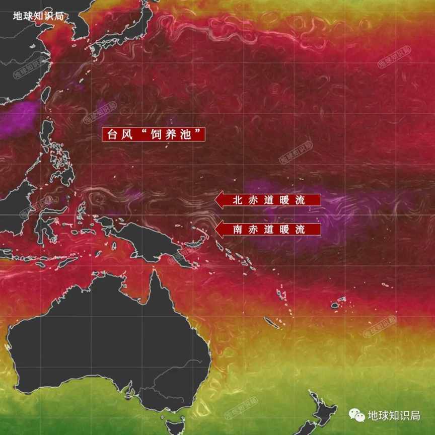 台风苏拉，真的来了！| 地球知识局