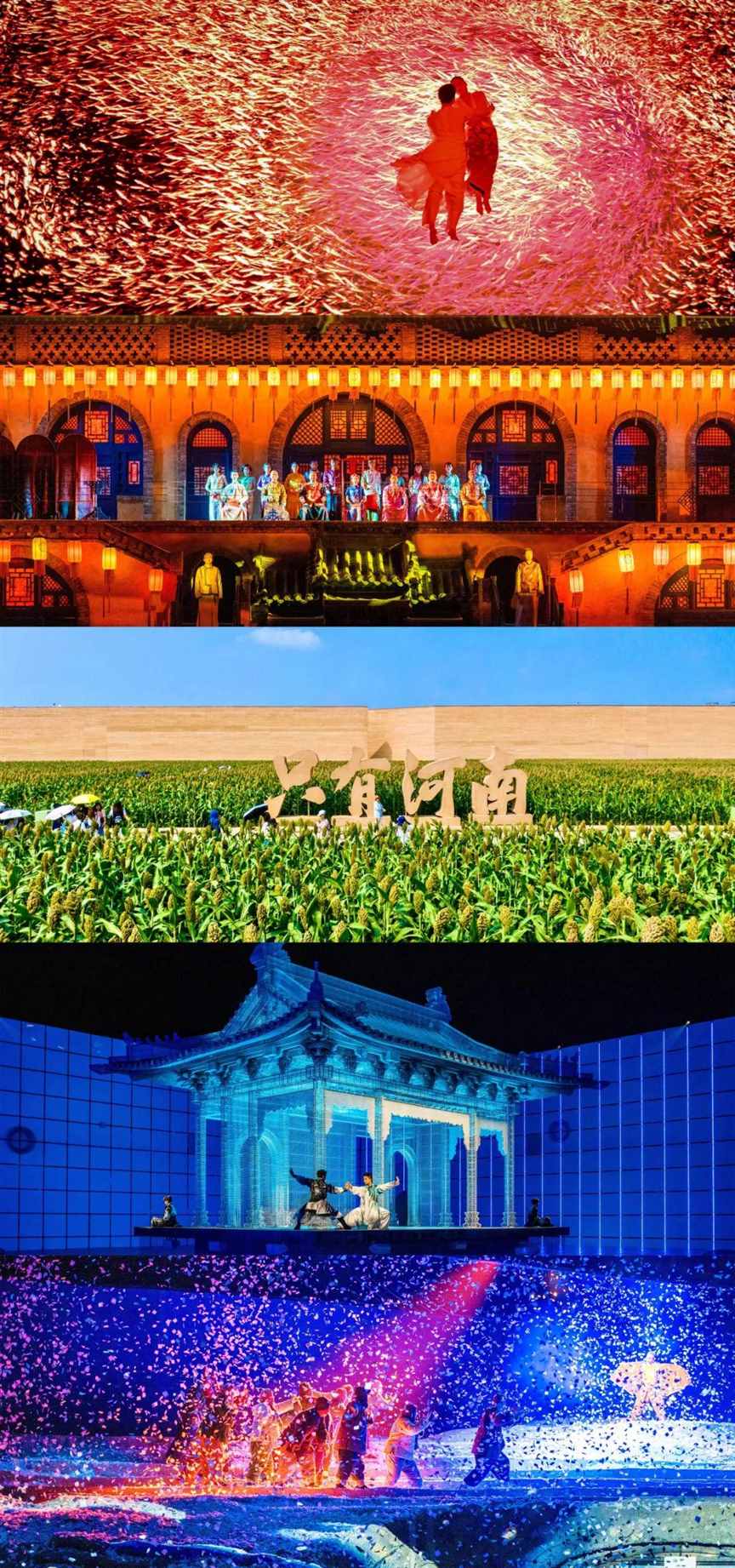 河南，到底有多内卷 | 地球知识局