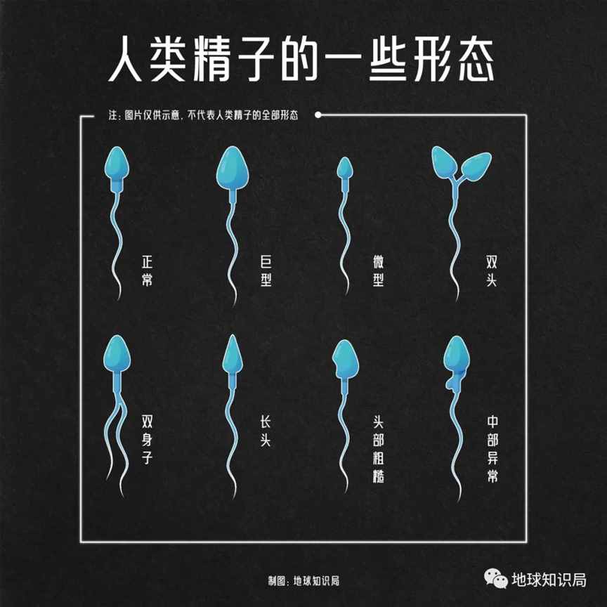 不行了，痿越来越多了 | 地球知识局