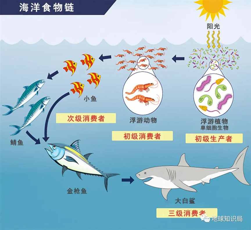 润了润了，连他们都受不了了 | 地球知识局