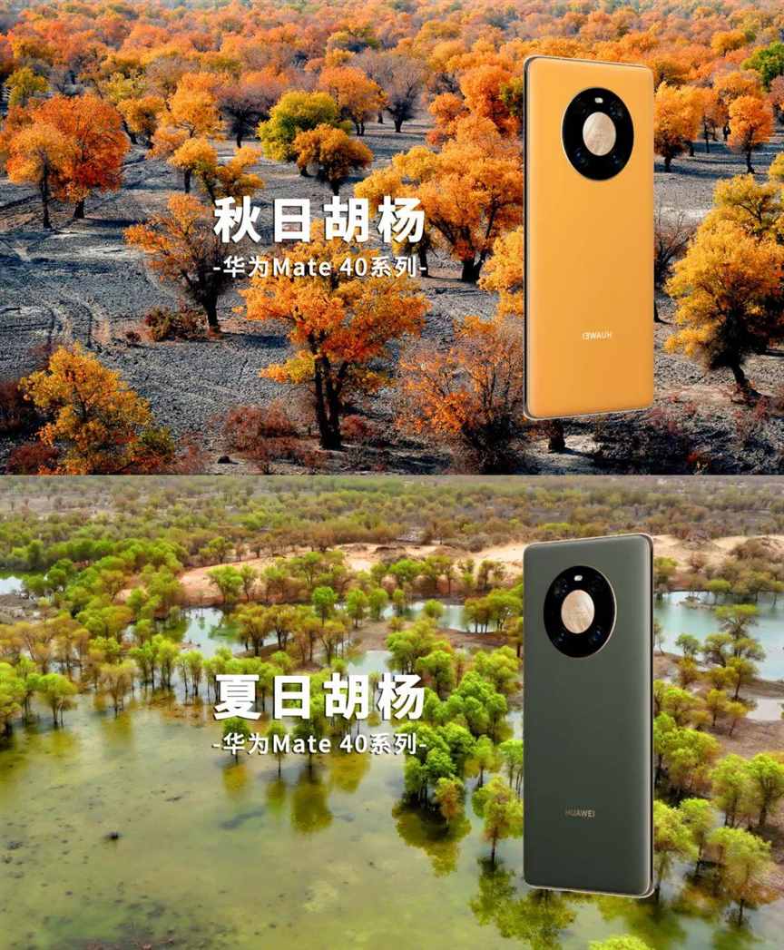西部大地，超级变化！| 地球知识局
