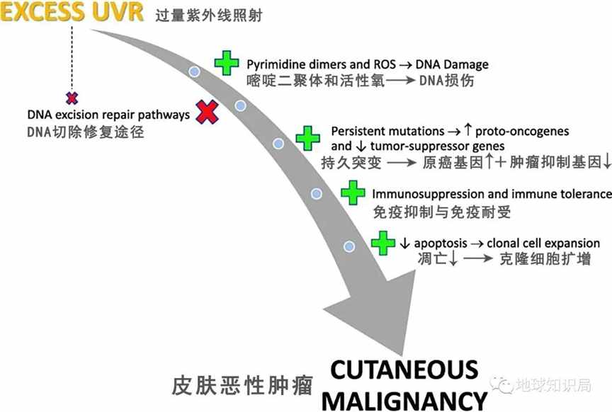 地球上空，传来一个坏消息 | 地球知识局