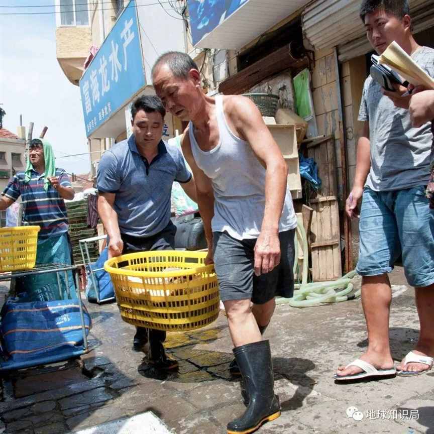 刚刚公布，老人以后越来越难了？| 地球知识局