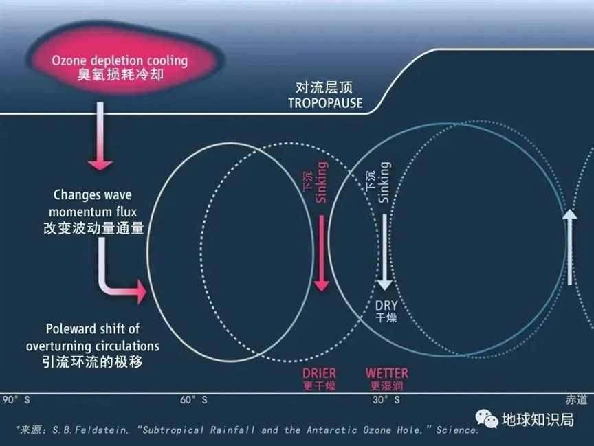 地球上空，传来一个坏消息 | 地球知识局