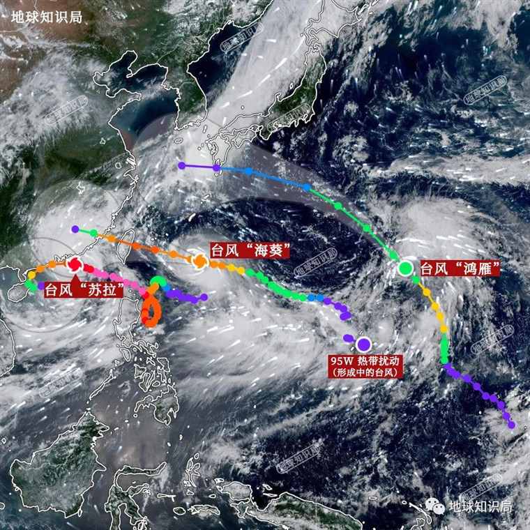 台风苏拉，真的来了！| 地球知识局