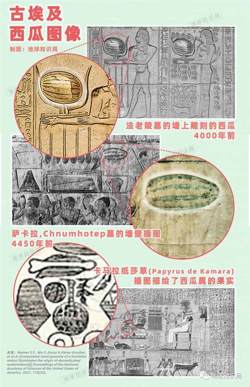 中国，产量吊打全球 | 地球知识局