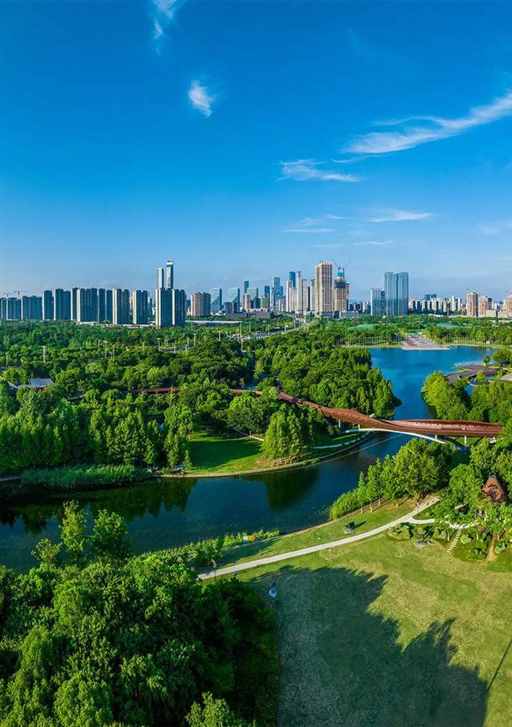 中西部，正在复制这四大城市!｜地球知识局