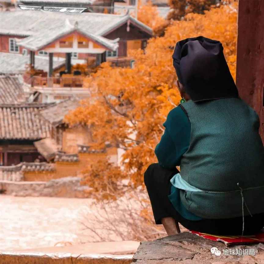 刚刚公布，老人以后越来越难了？| 地球知识局