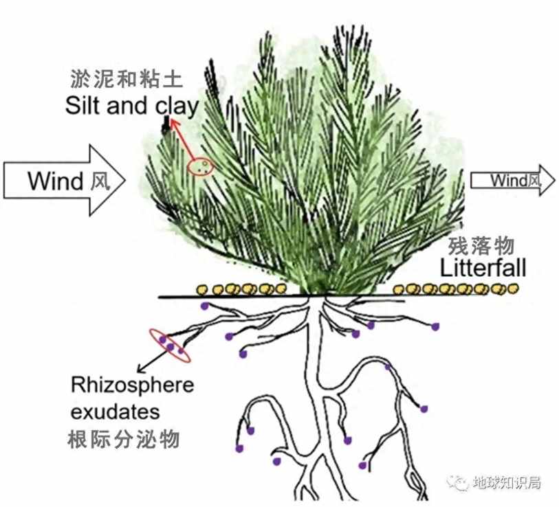 这个国家，条件真的太苦了......| 地球知识局