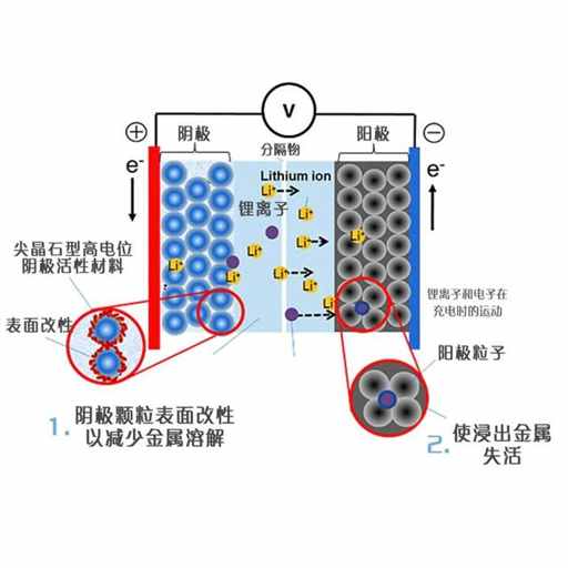 高达98％，中国不进口真的没办法 | 地球知识局