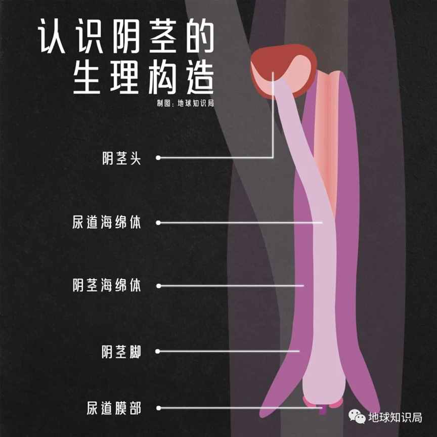 不行了，痿越来越多了 | 地球知识局