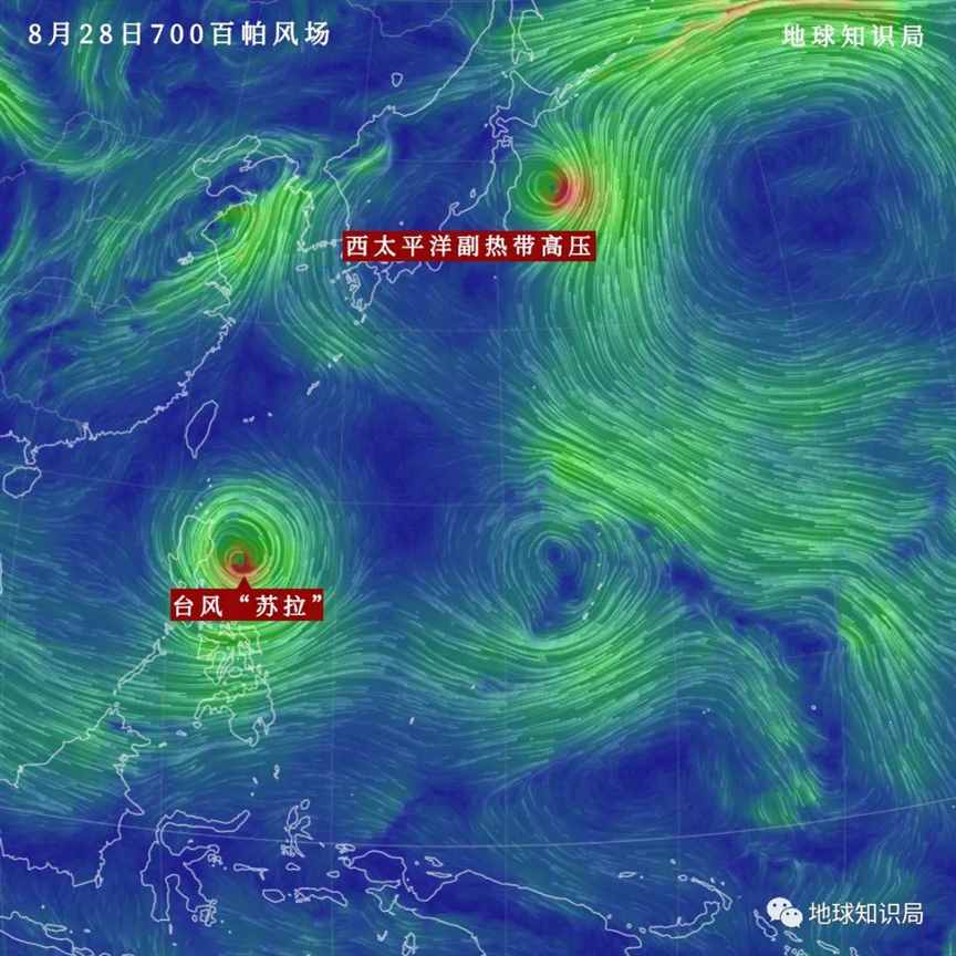 台风苏拉，真的来了！| 地球知识局