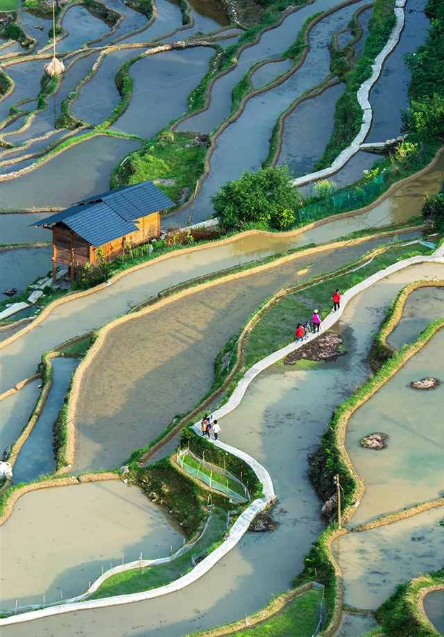 西部大地，超级变化！| 地球知识局