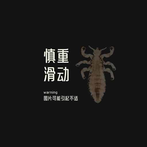 人类不长毛，是为了吸引异性么？| 地球知识局