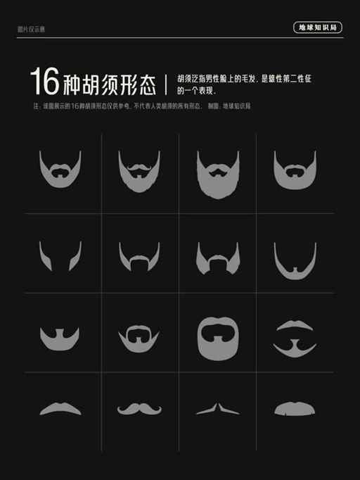 人类不长毛，是为了吸引异性么？| 地球知识局