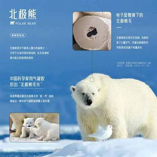 人类不长毛，是为了吸引异性么？| 地球知识局
