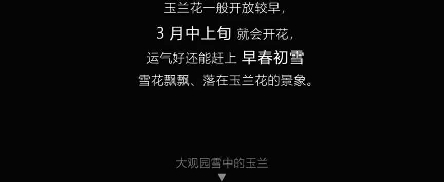 春天到了，万物复苏，又到了繁殖的季节 | 地球知识局