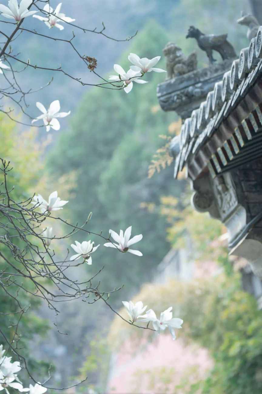 春天到了，万物复苏，又到了繁殖的季节 | 地球知识局