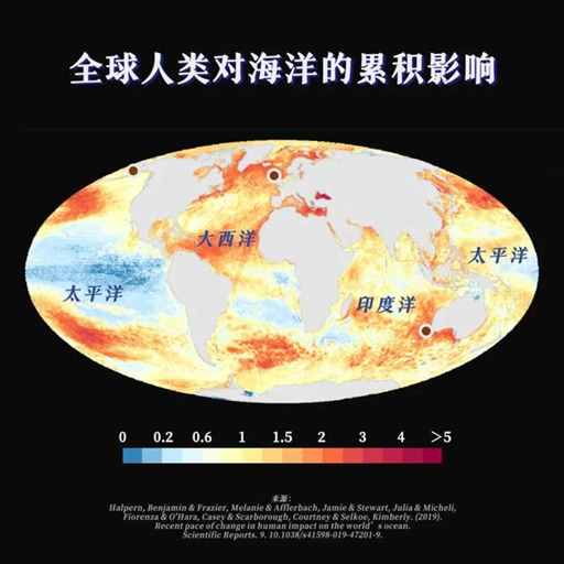 非常危险的副产物，大海越来越酸了！| 地球知识局