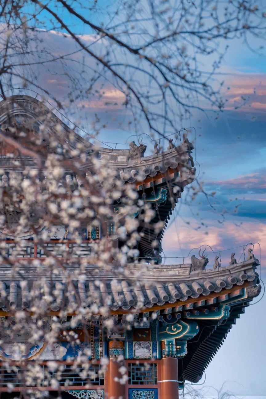 春天到了，万物复苏，又到了繁殖的季节 | 地球知识局