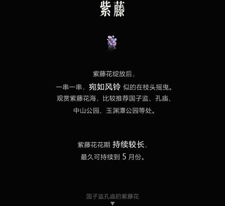 春天到了，万物复苏，又到了繁殖的季节 | 地球知识局