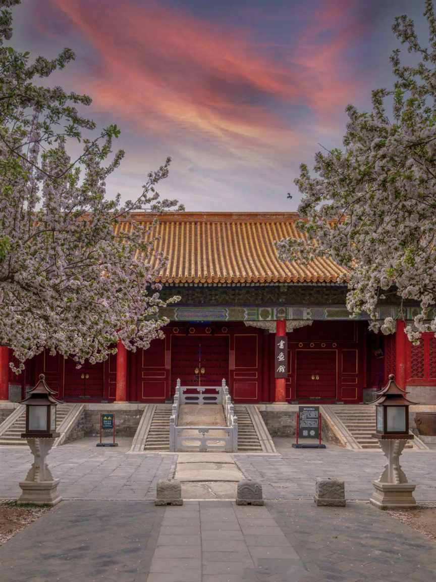 春天到了，万物复苏，又到了繁殖的季节 | 地球知识局