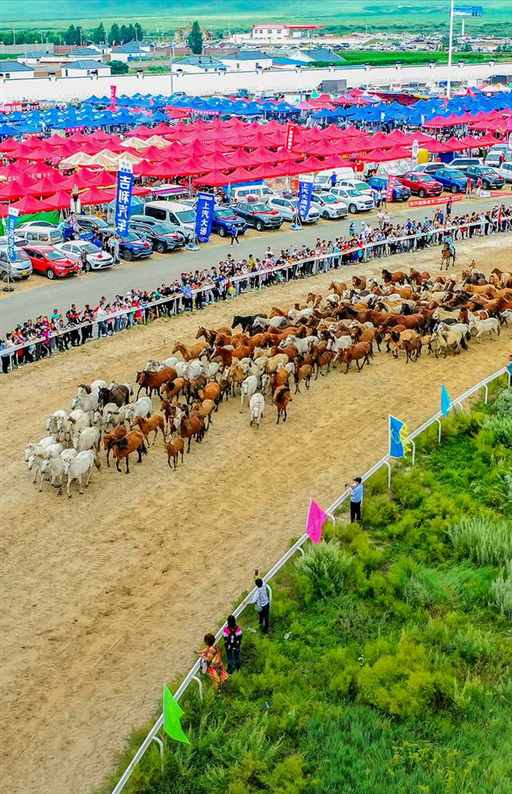 每年4000万吨，内蒙古改写中国粮食版图 | 地球知识局