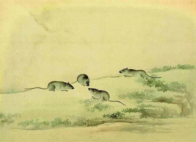 妖鼠、妖人、妖事、妖风