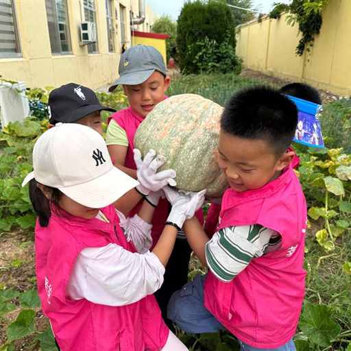 山东发现大宝贝，太大了！| 地球知识局