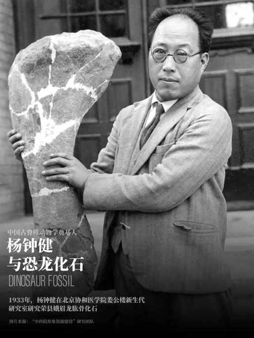 山东发现大宝贝，太大了！| 地球知识局