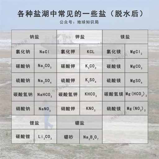 青海的海，藏着多少资源？| 地球知识局